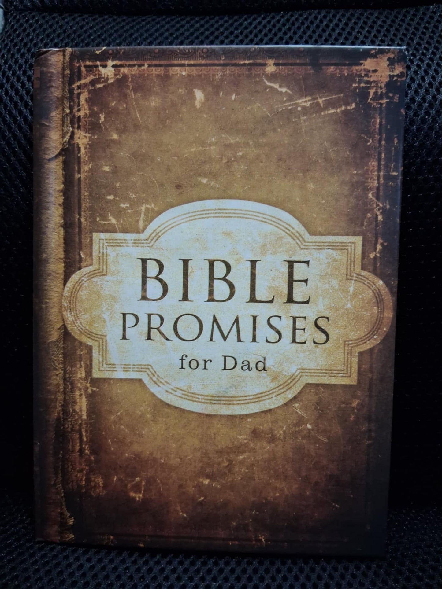 Bible Promises For Dad