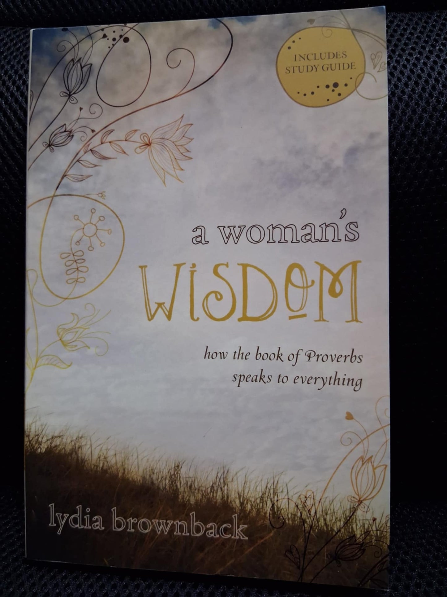 A Woman's Wisdom: How The Book Of Proverbs Speaks To Everything