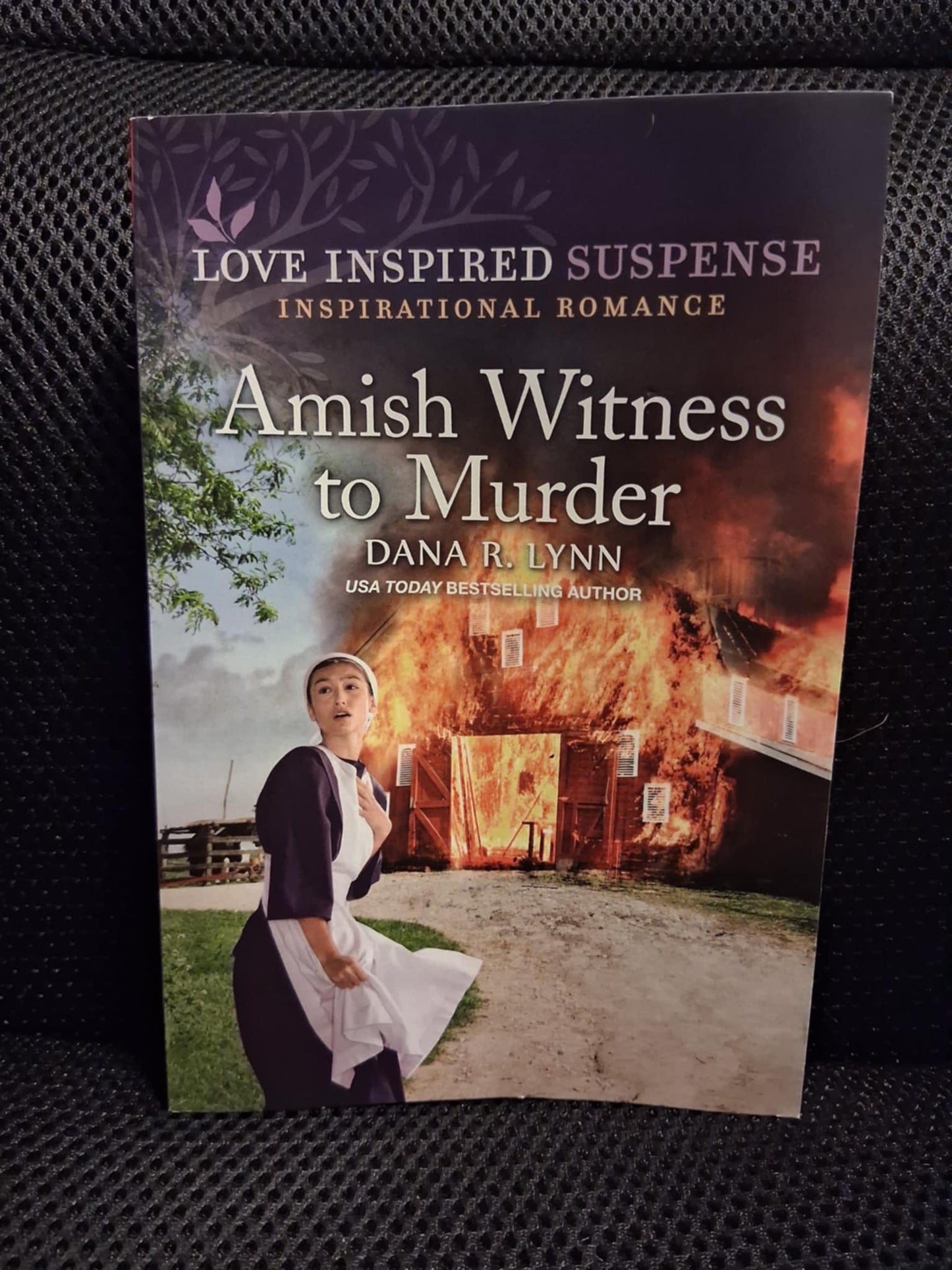 Amish Witness To Murder (Love Inspired Suspense)