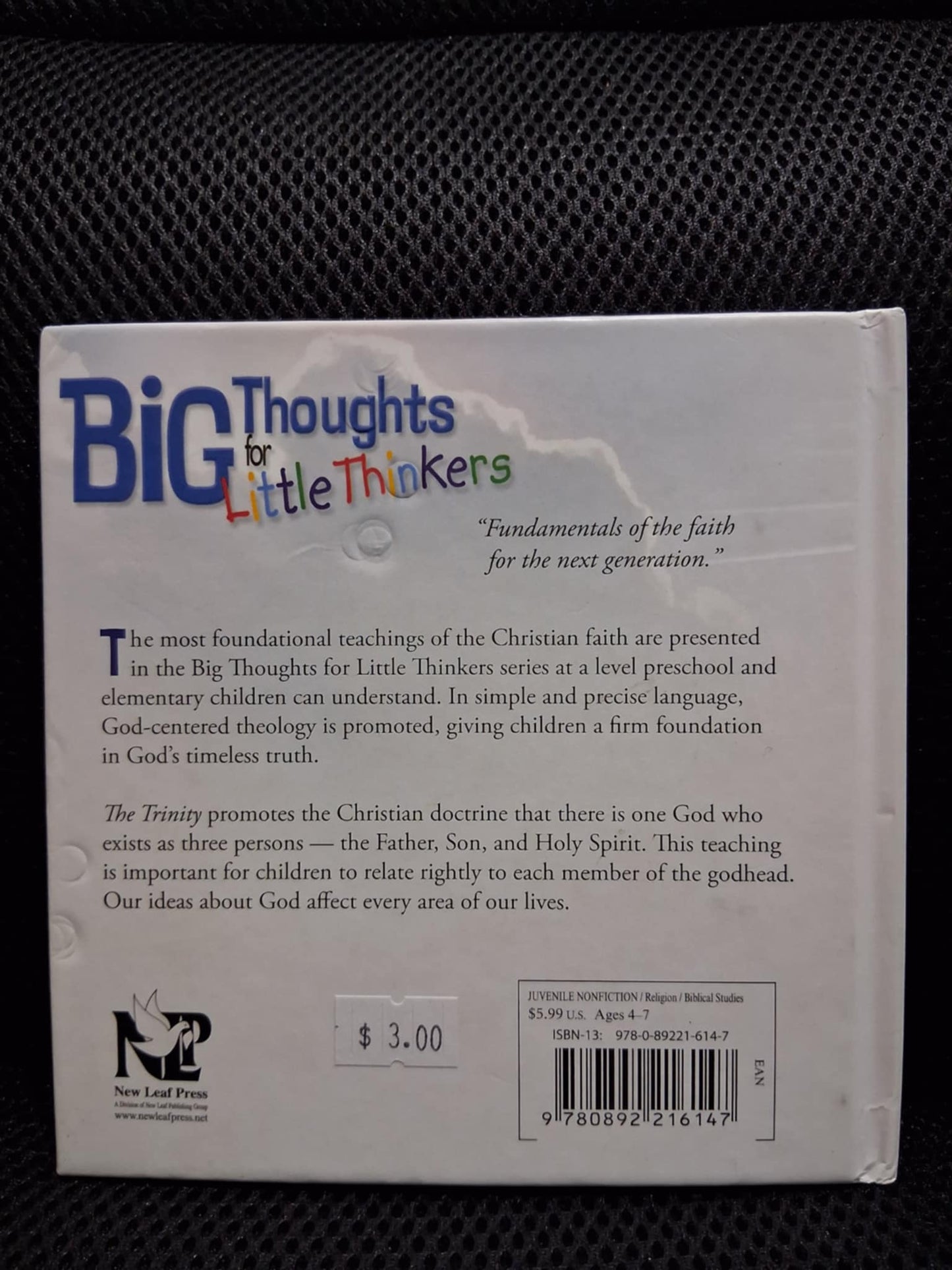 Big Thoughts For Little Thinkers: The Trinity