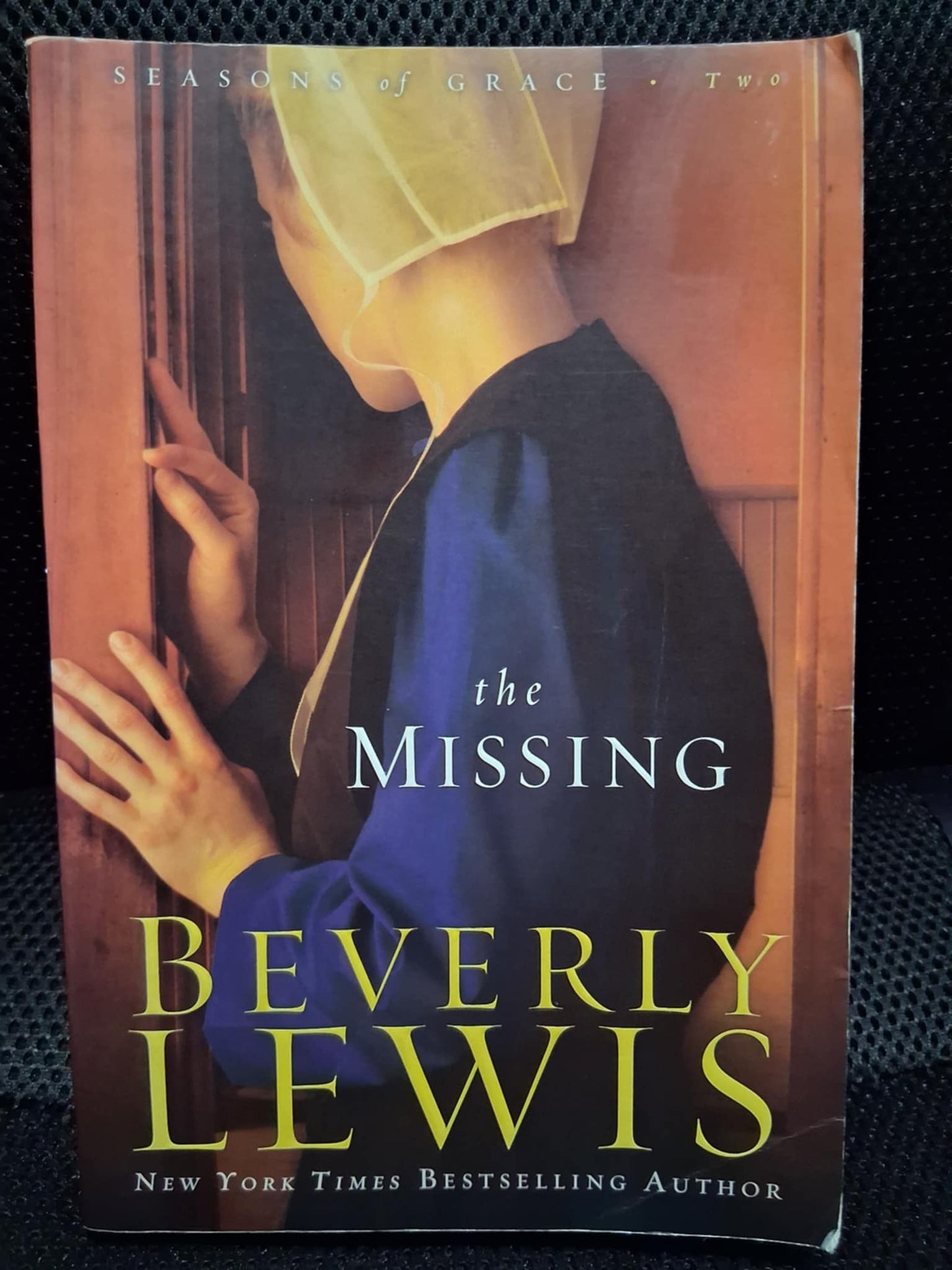 The Missing (Seasons Of Grace Book 2)