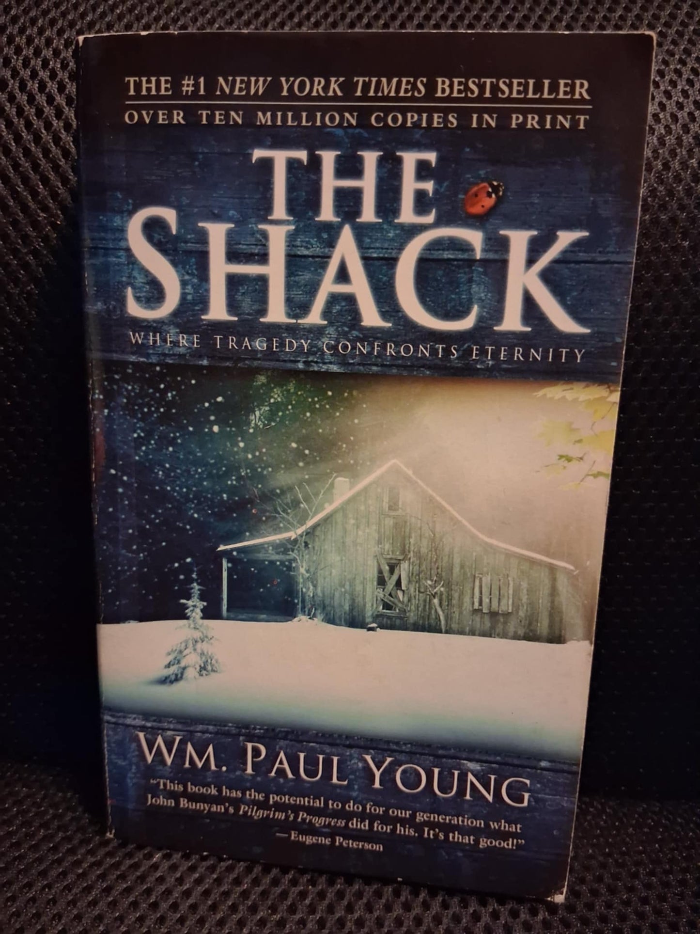 The Shack: Where Tragedy Confronts Eternity - Heaven's Roaring Boutique