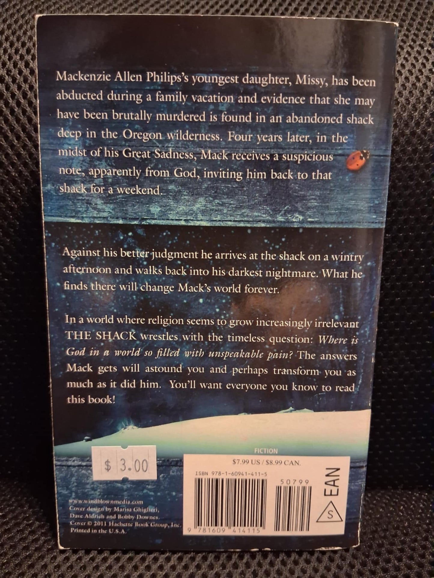 The Shack: Where Tragedy Confronts Eternity - Heaven's Roaring Boutique
