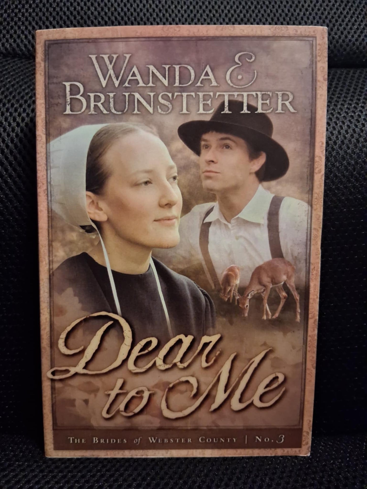 Dear To Me (The Brides Of Webster County Book 3)