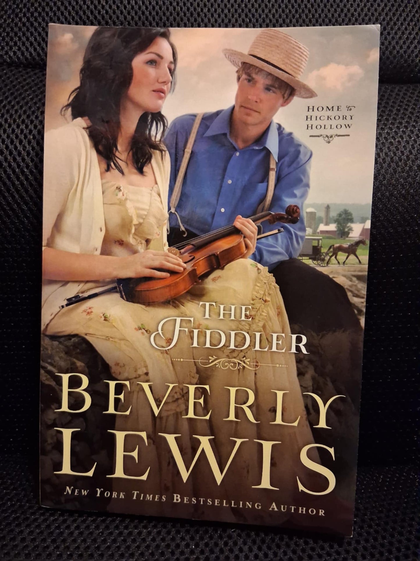 The Fiddler (Home To Hickory Hollow Book 1)