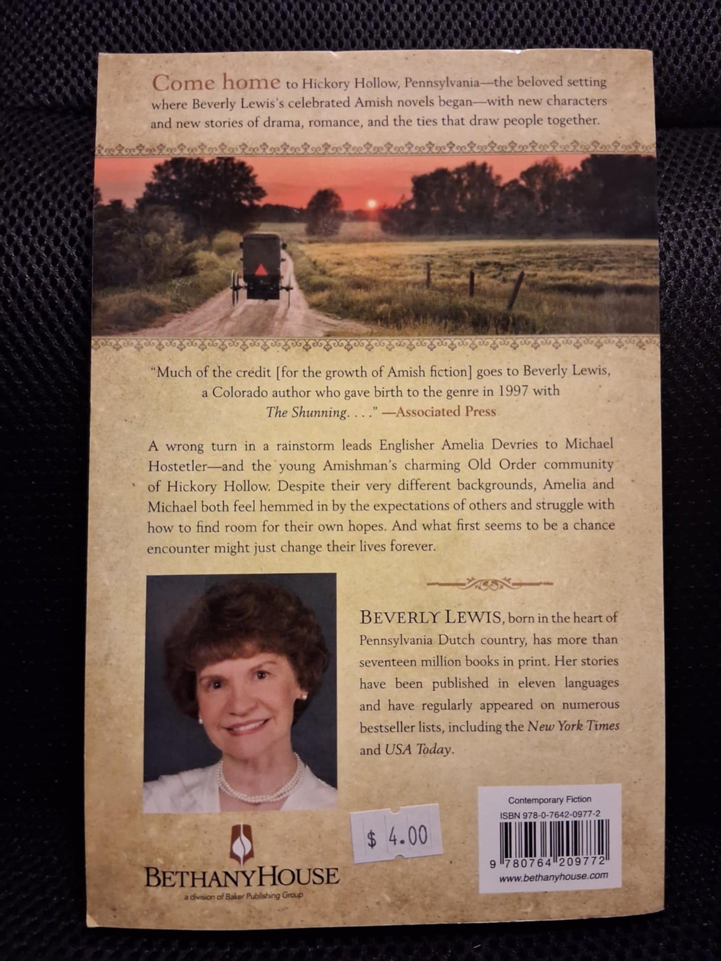 The Fiddler (Home To Hickory Hollow Book 1)