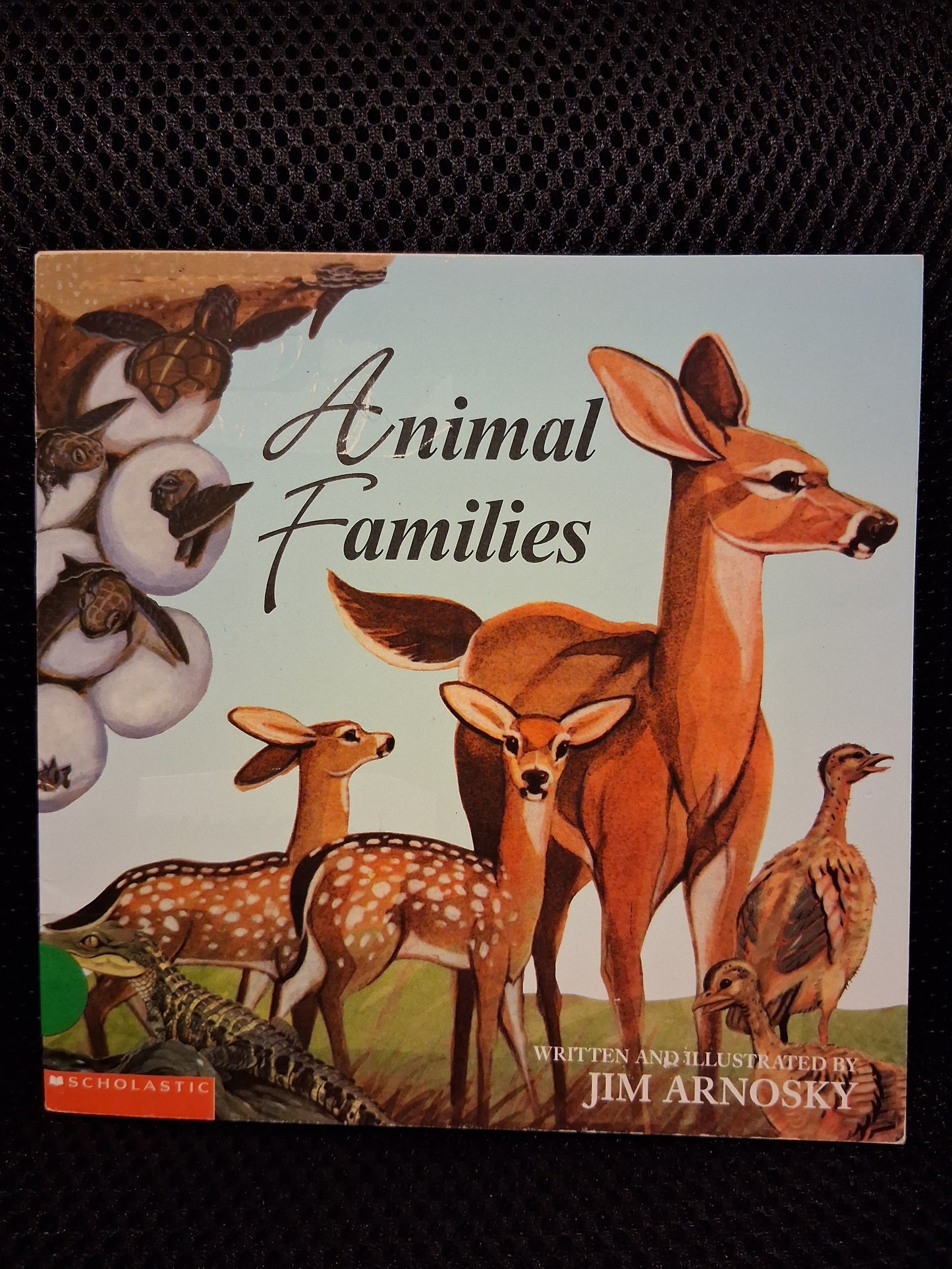 Animal Families