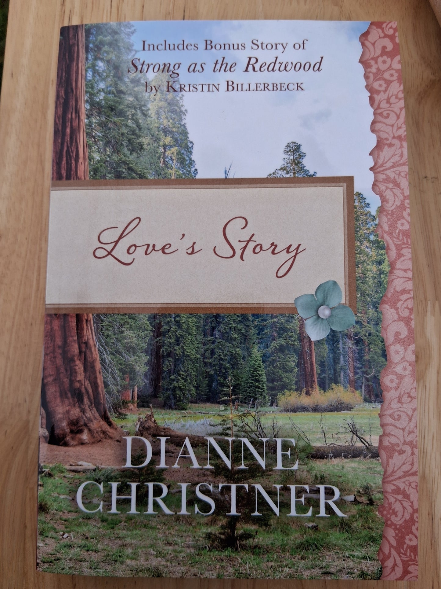 Love's Story — by Dianne Christner, Kristin Billerbeck