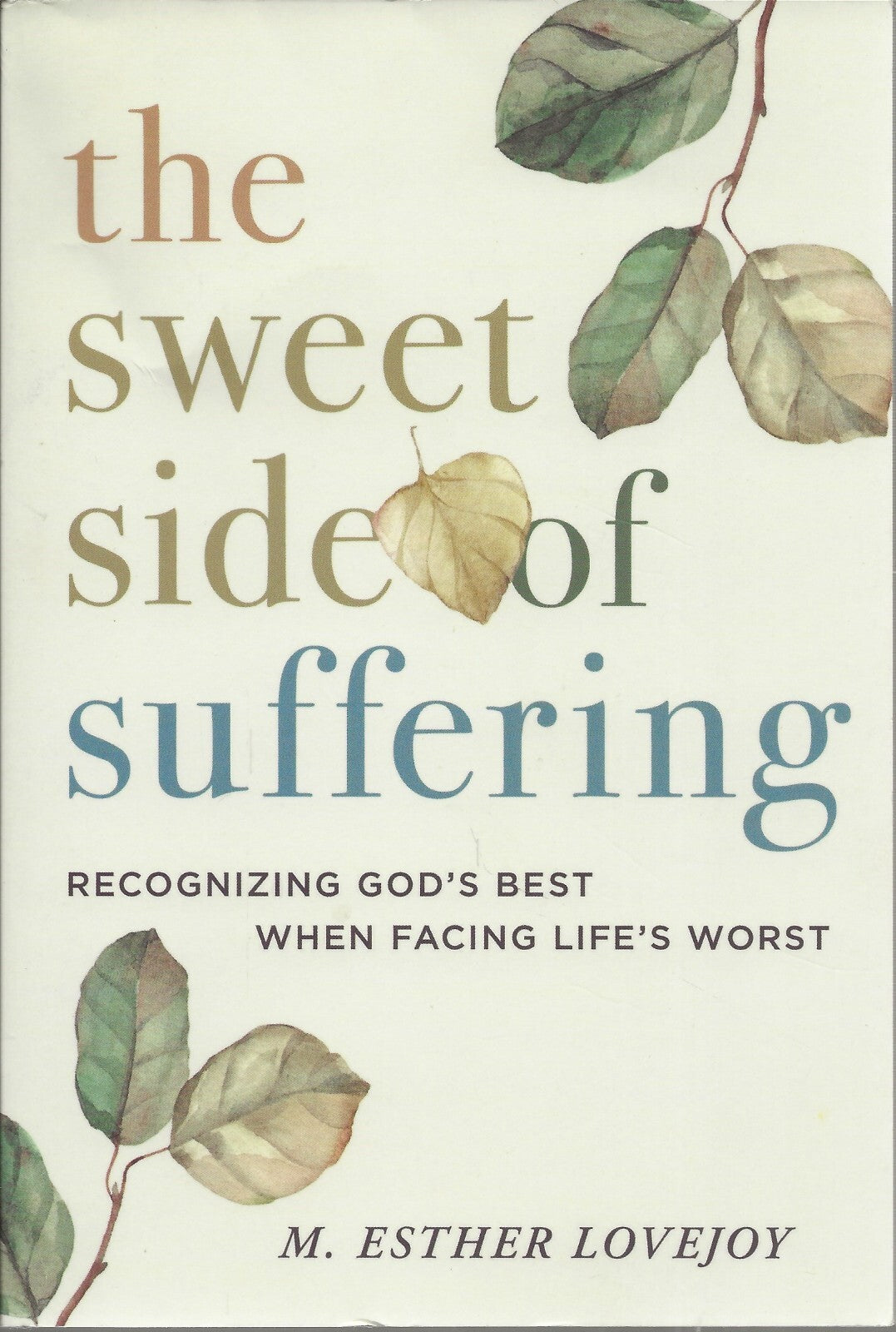 The Sweet Side Of Suffering: Recognizing God's Best When Facing Life's Worst