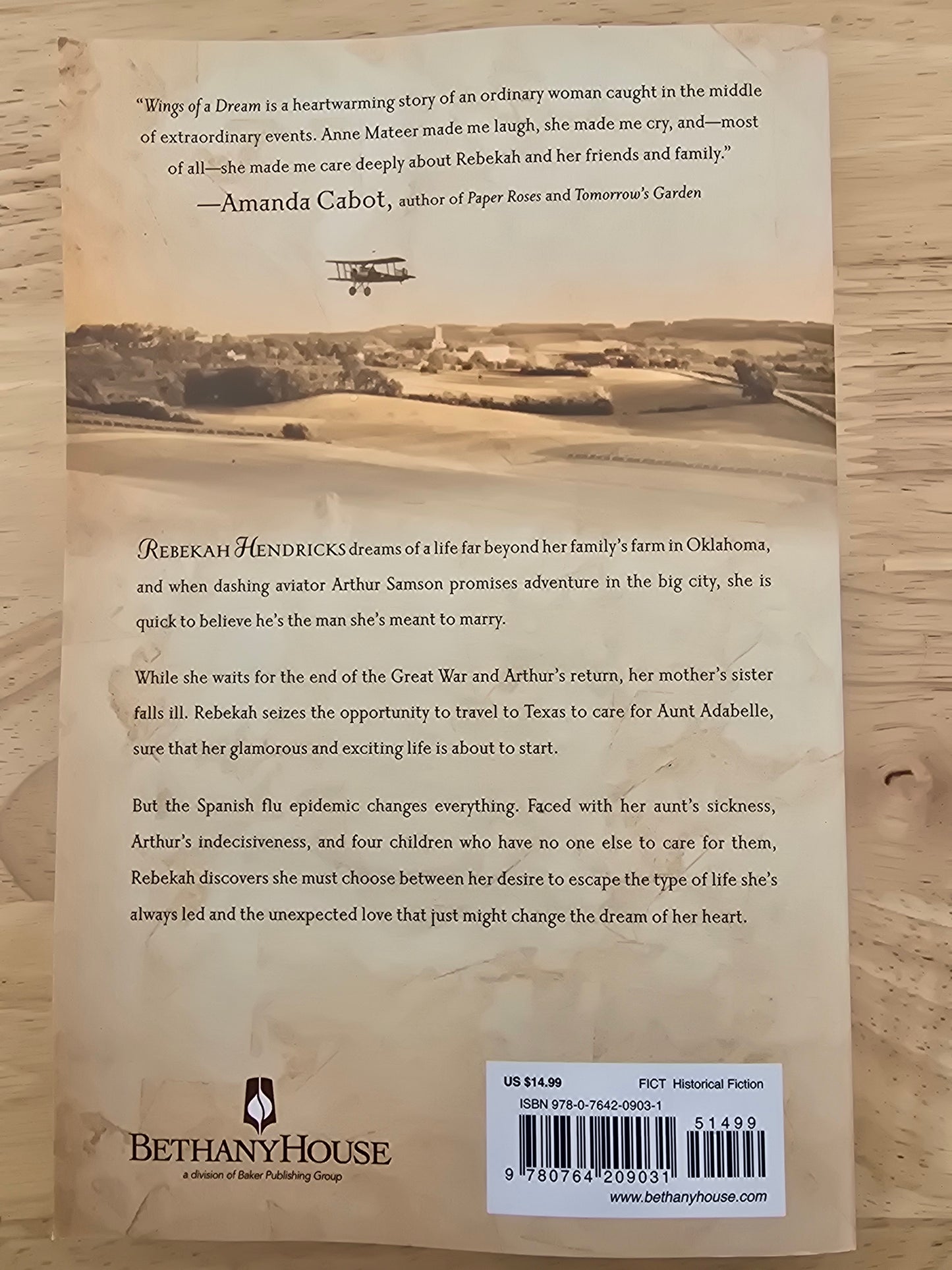 Wings of a Dream — by Anne Mateer