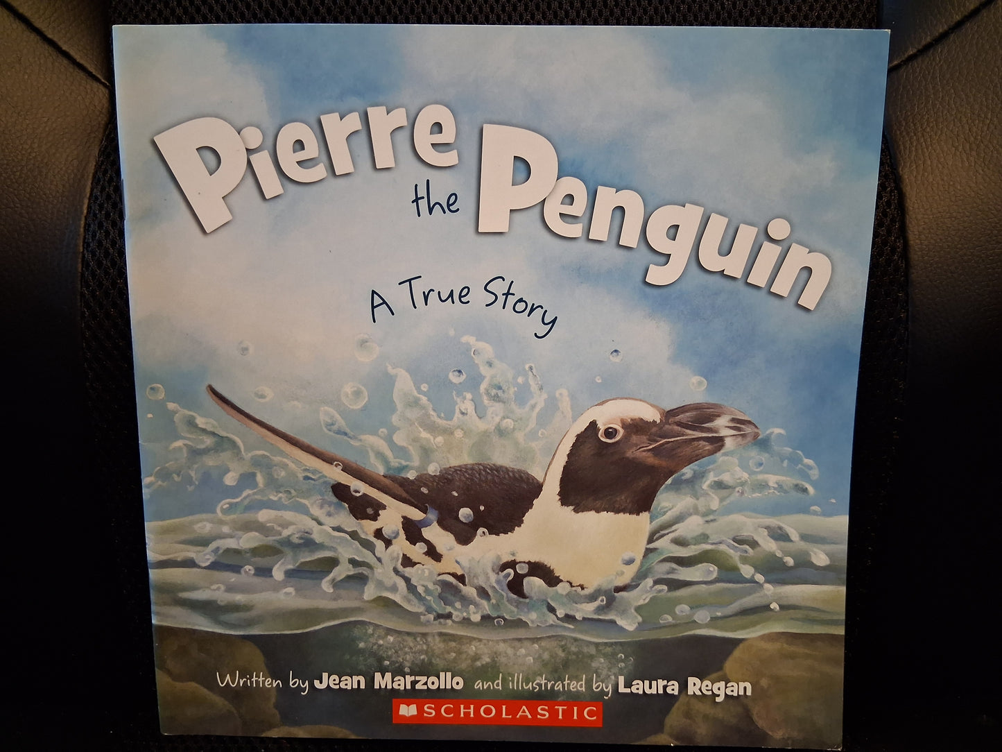 Pierre The Penguin: A True Story
