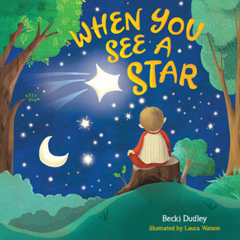 When You See A Star (Master Books)