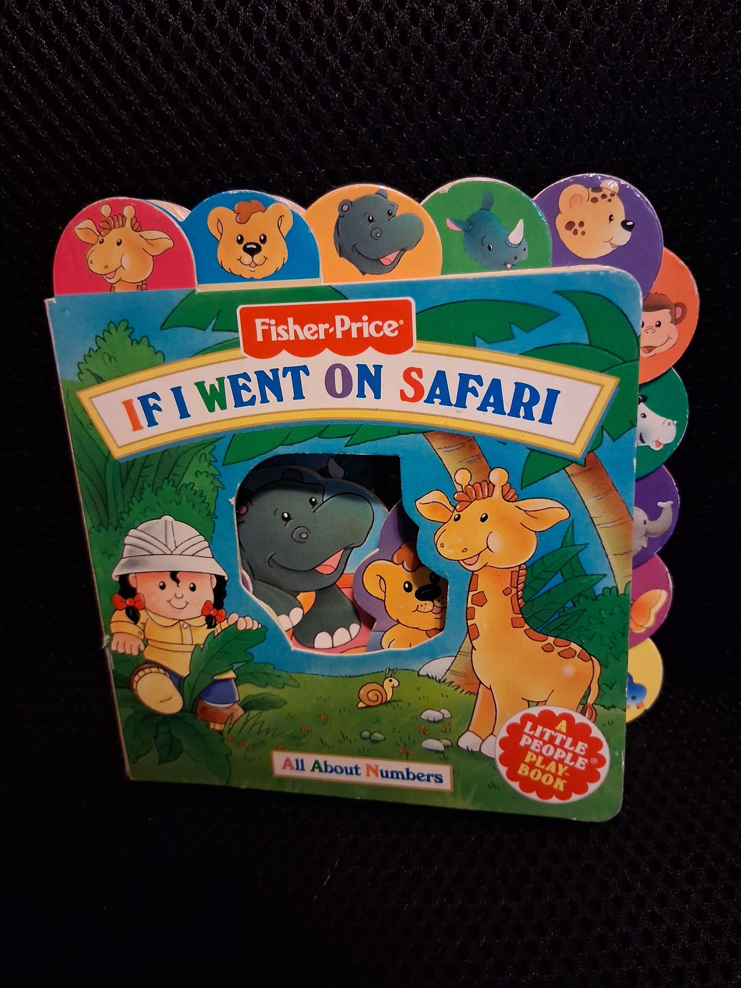 If I Went On Safari: All About Numbers