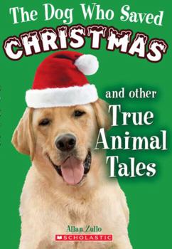 The Dog Who Saved Christmas And Other True Animal Tales