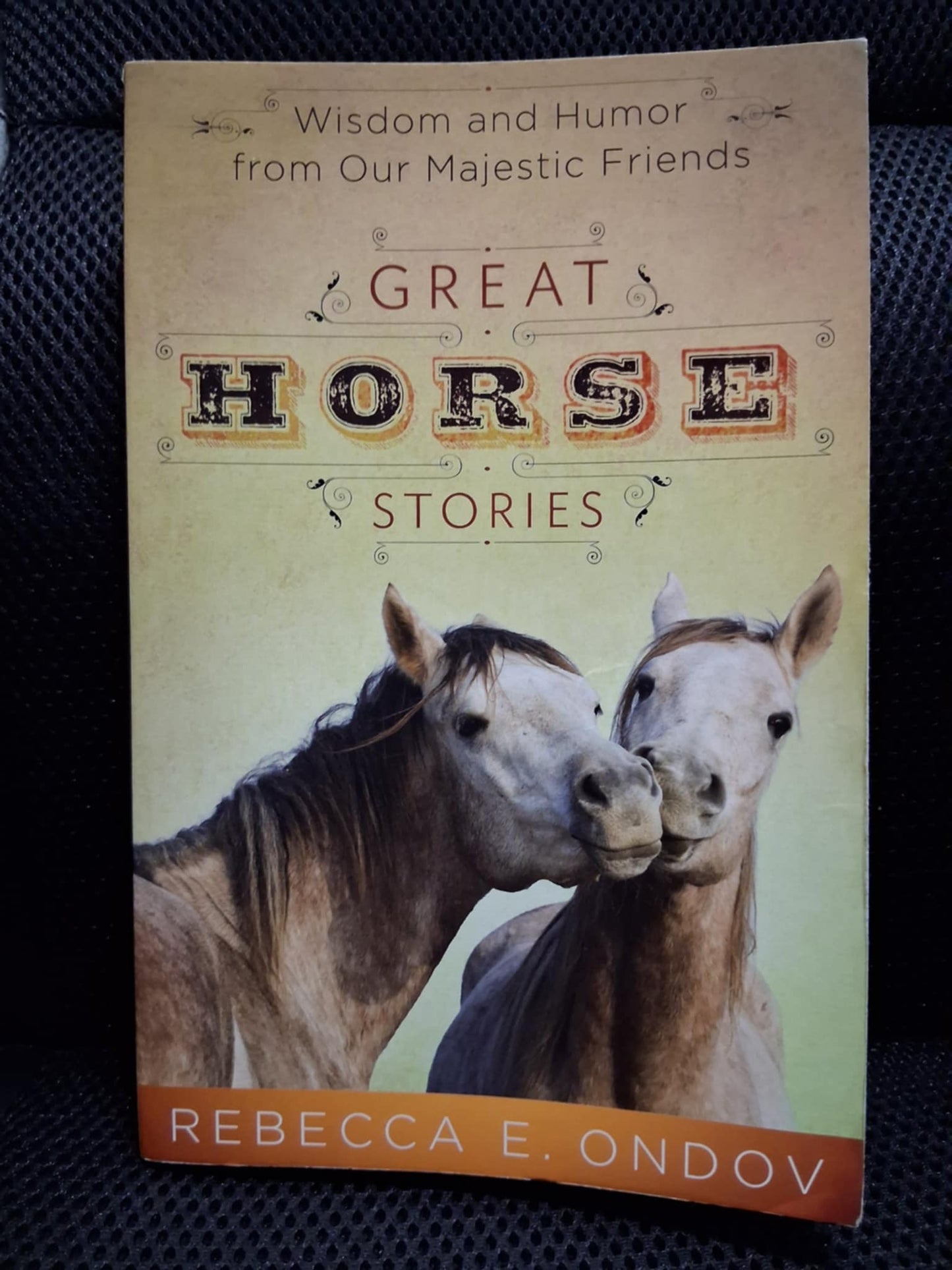Great Horse Stories: Wisdom And Humor From Our Majestic Friends
