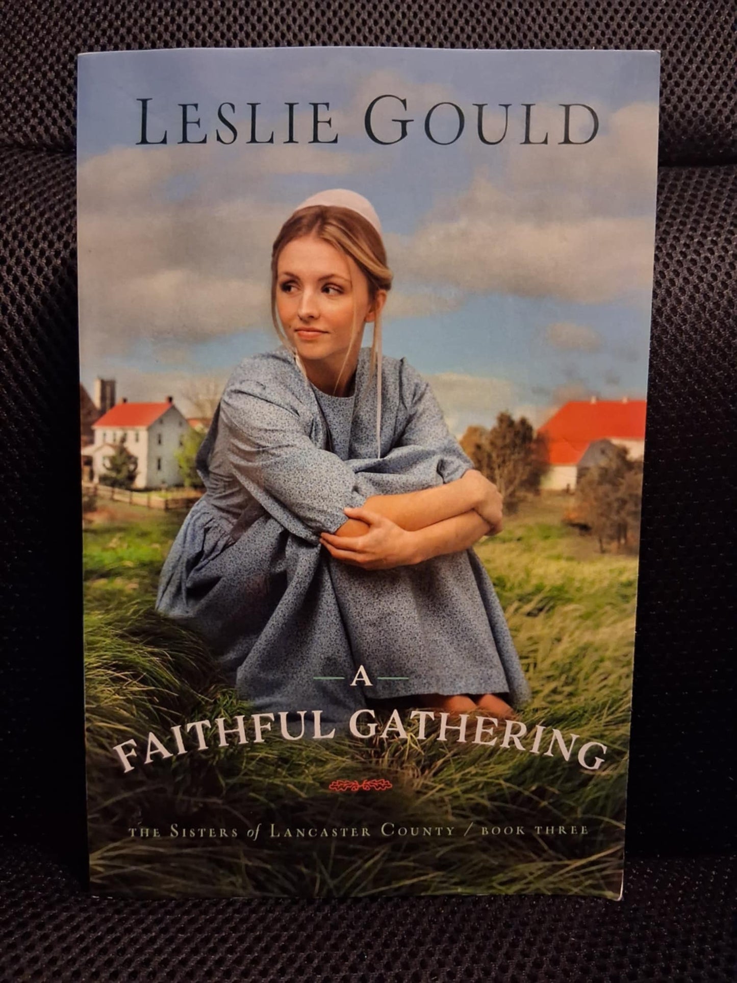 A Faithful Gathering (The Sisters Of Lancaster County Book 3)