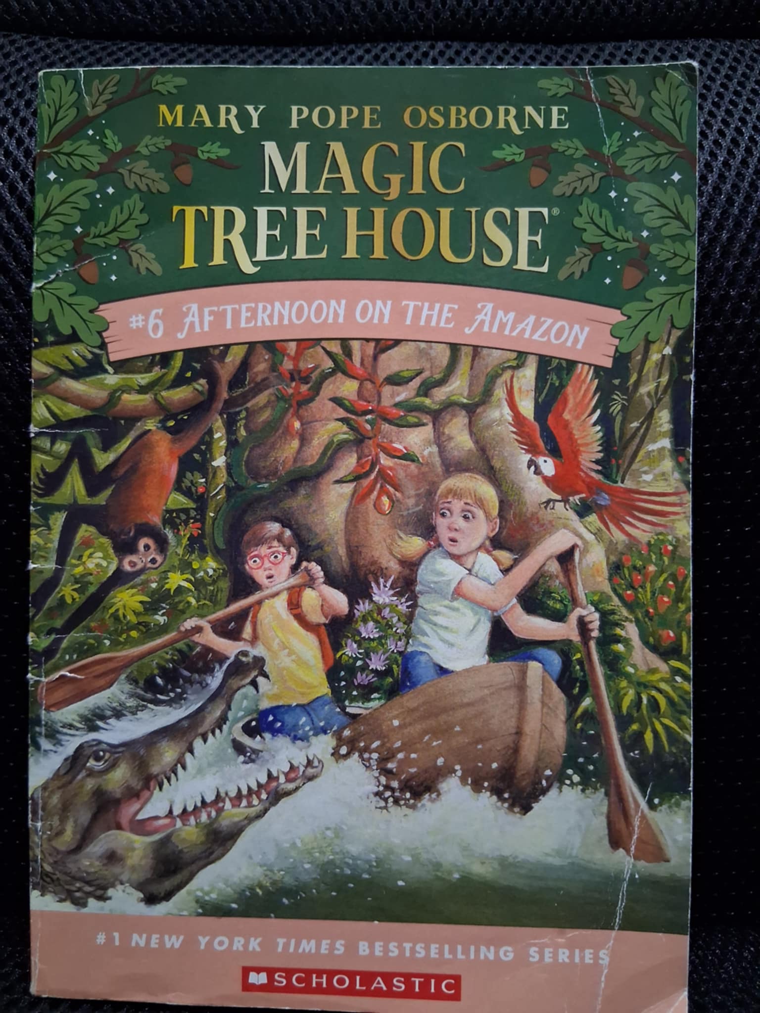 Magic Tree House #6: Afternoon On The Amazon - Heaven's Roaring Boutique