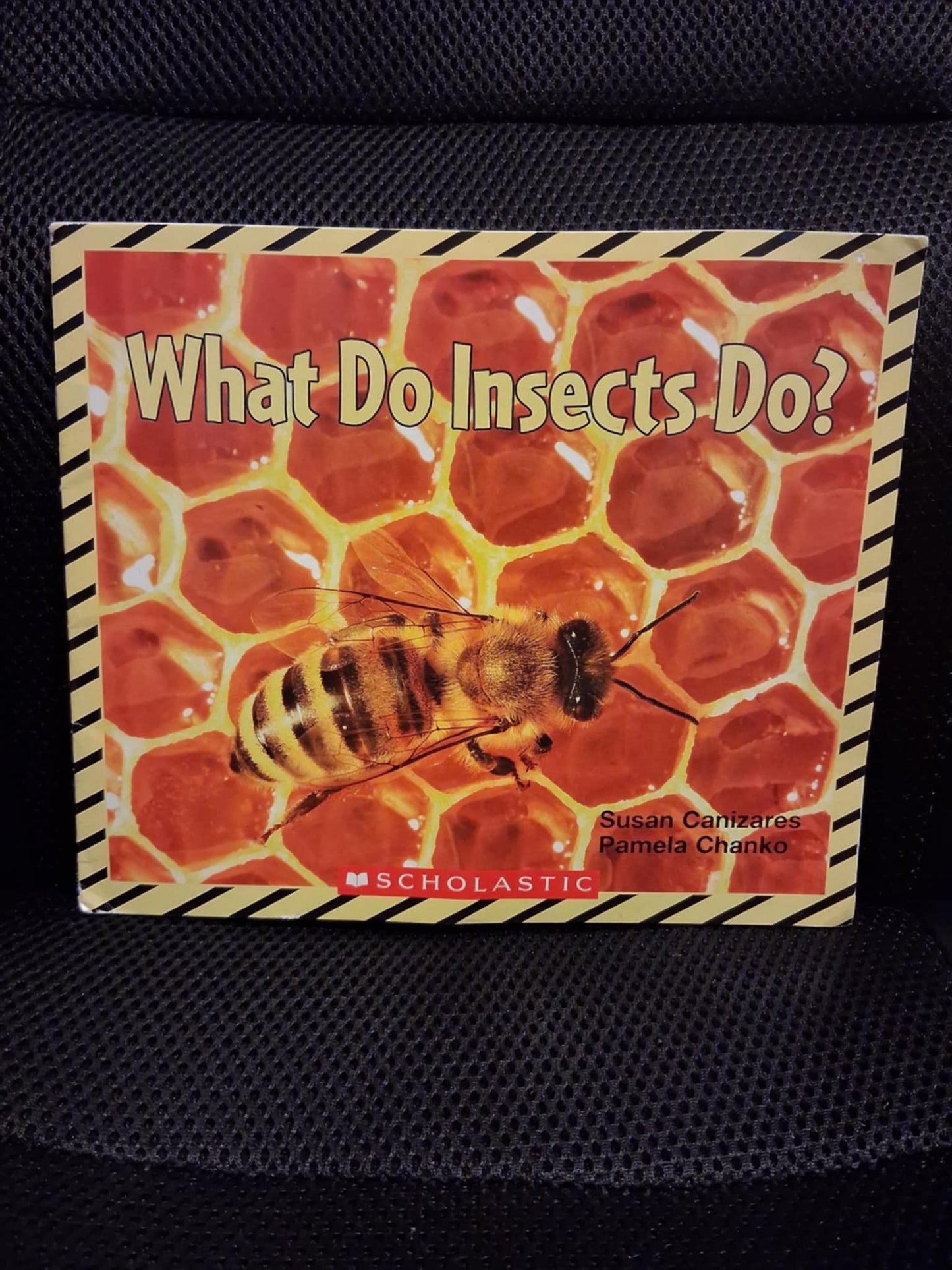 What Do Insects do? (Science Emergent Readers)
