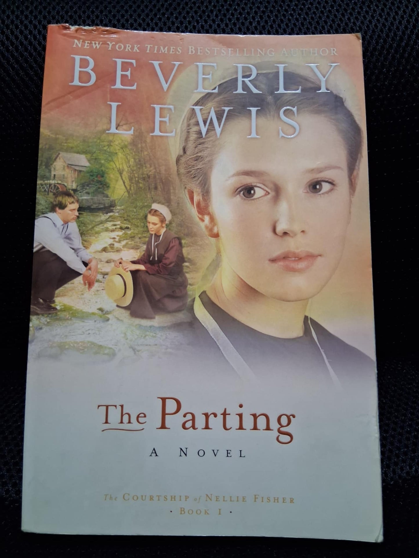 The Parting (The Courtship Of Nellie Fisher Book 1)