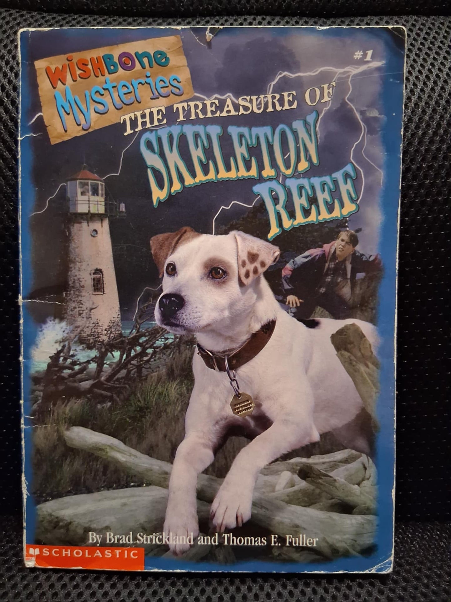 Wishbone Mysteries #1: The Treasure Of Skeleton Reef