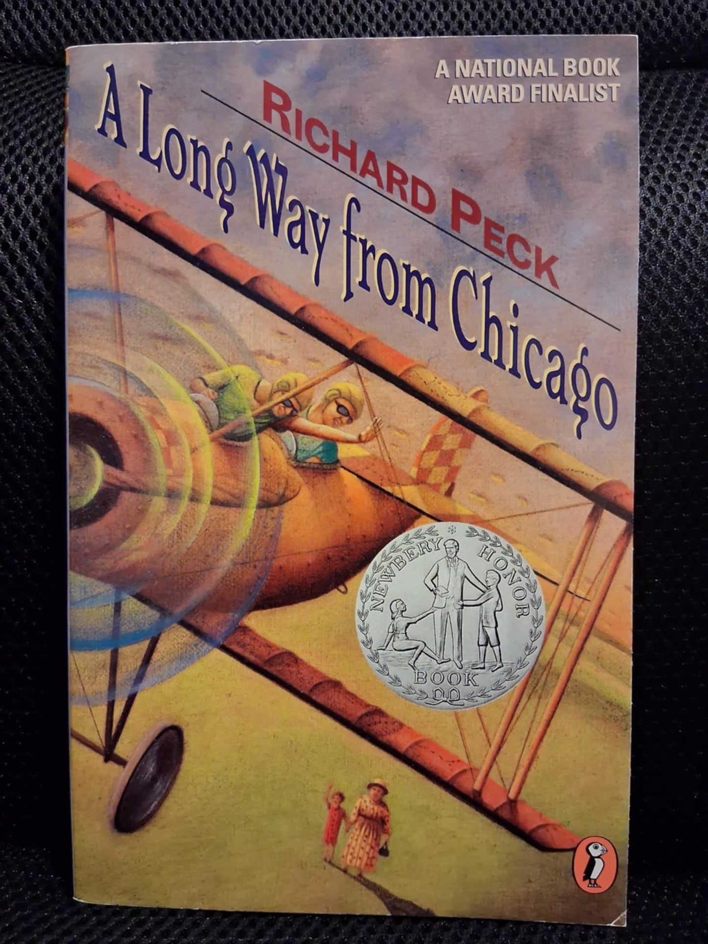 A Long Way From Chicago