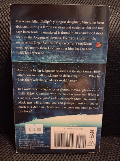 The Shack: Where Tragedy Confronts Eternity - Heaven's Roaring Boutique