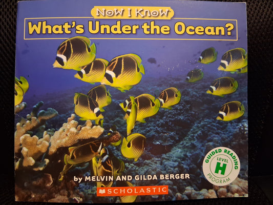 What's Under The Ocean?