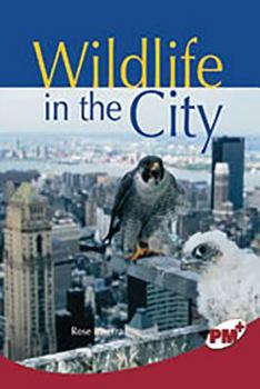 Wildlife In The City (Rigby PM Plus Nonfiction Level 28)