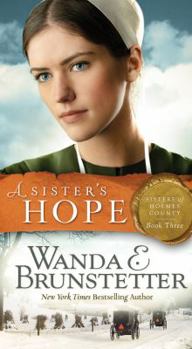 A Sister's Hope (Sister's Of Holmes County Series Book 3)